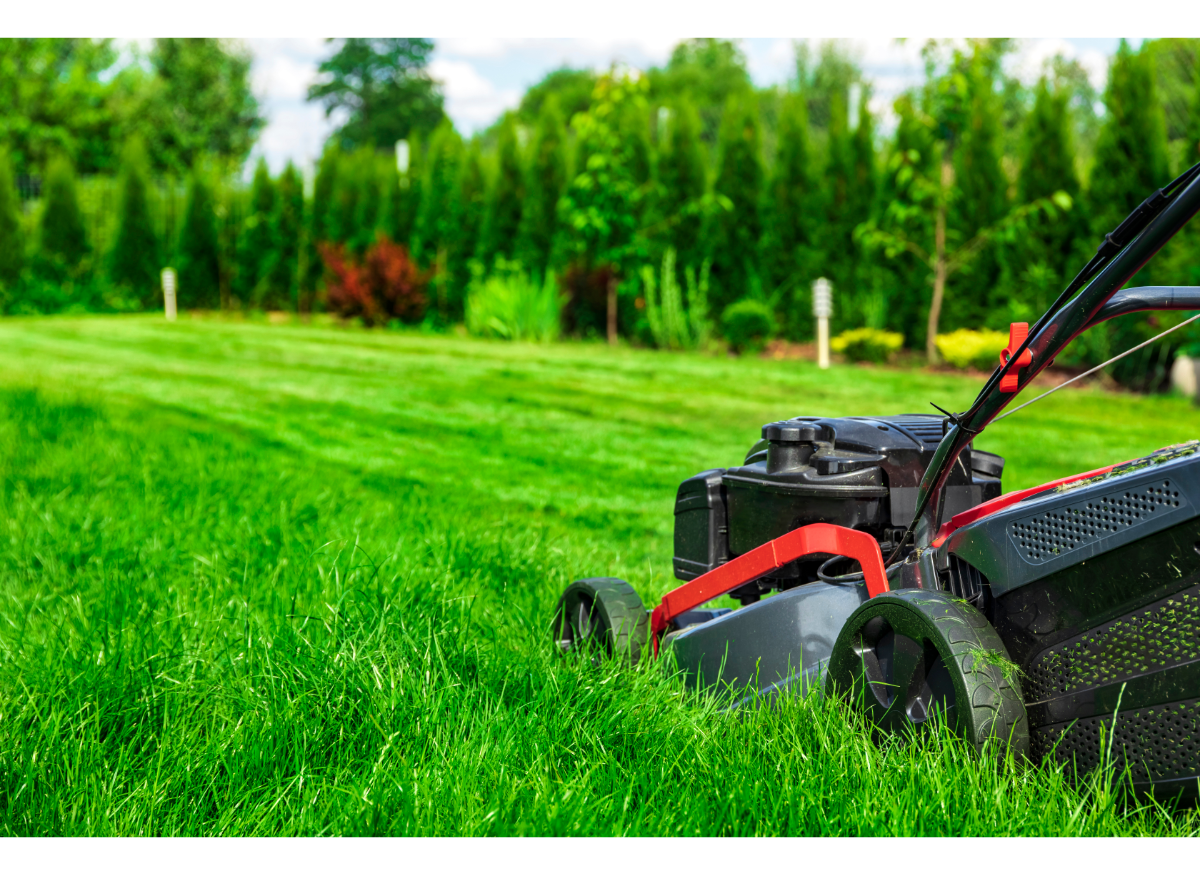 What's the Best Battery Operated Lawnmower?