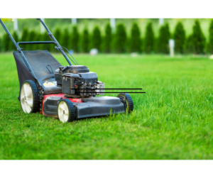 best mower to start a lawn business